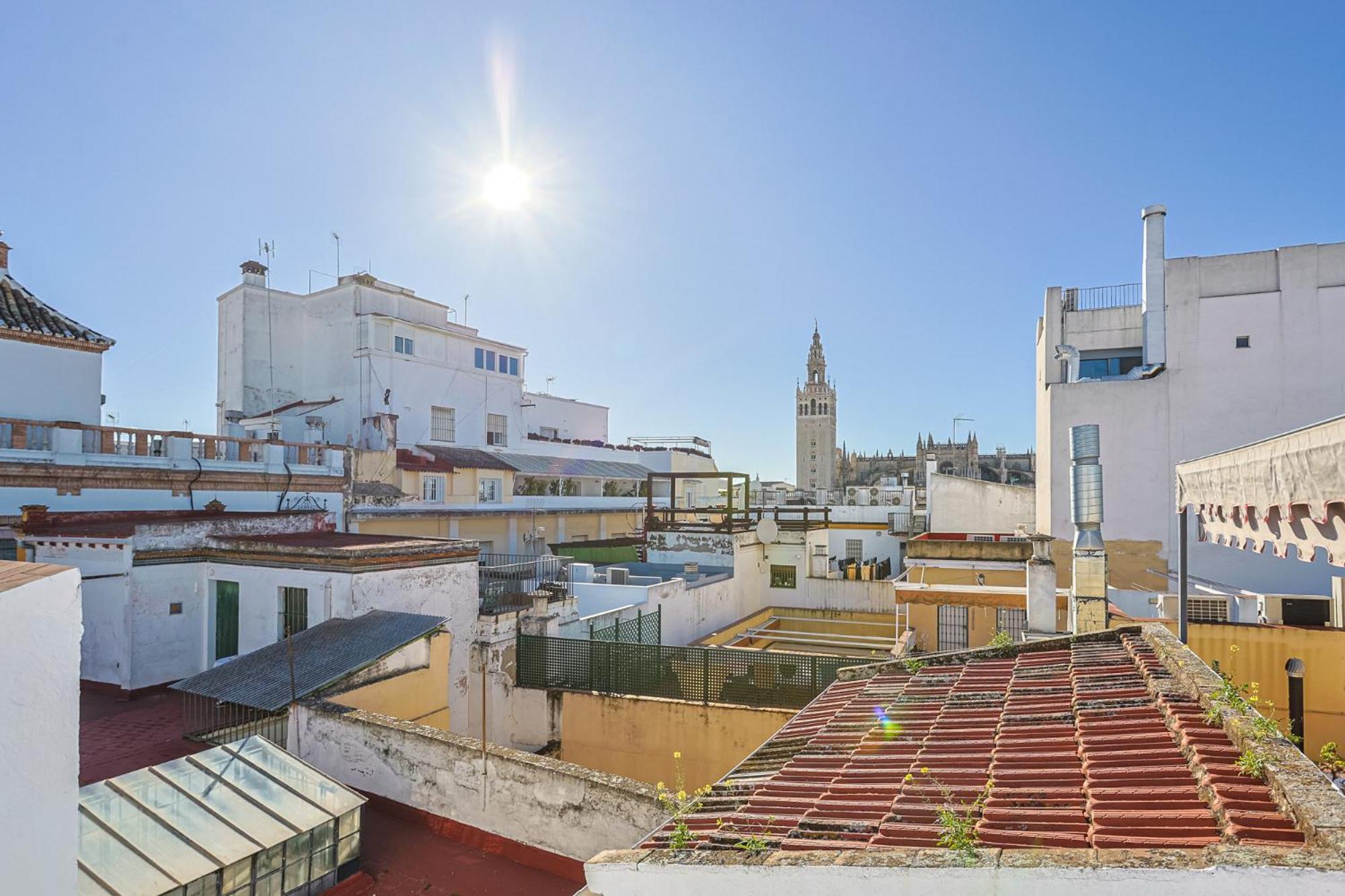 Chicarrero Vacacional Seville